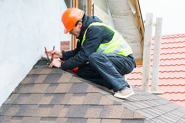 Roof Gutter Cleaning in Ruckersville, VA